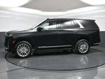 2023 Cadillac Escalade 4WD Premium Luxury