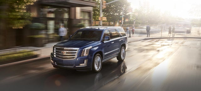 An assortment of new OEM GM and Cadillac parts